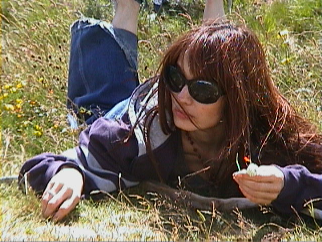 Picture